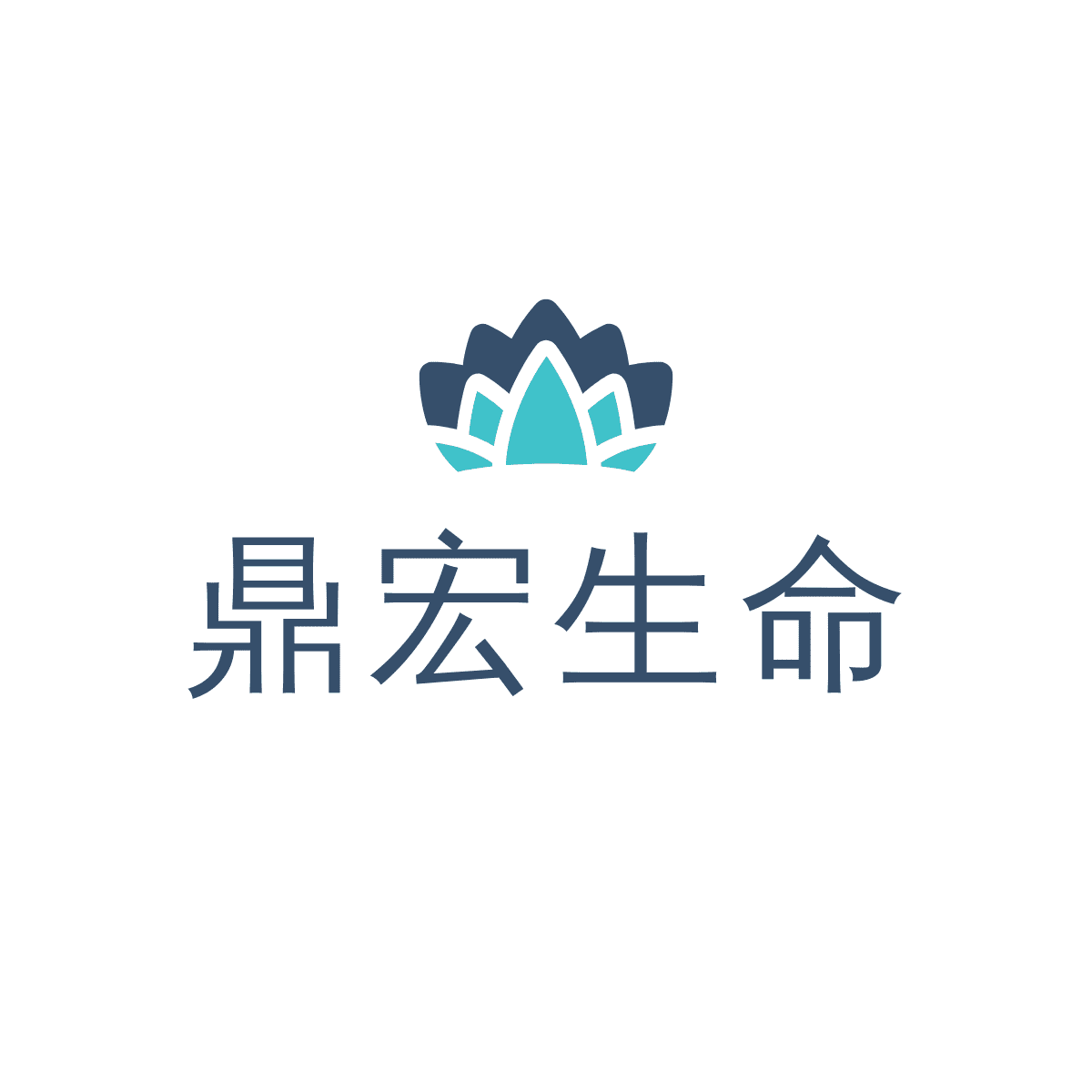 台南鼎宏生命禮儀